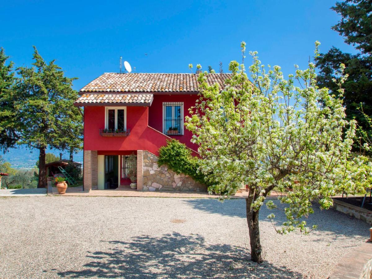 Holiday Home La Letizia By Interhome Collemancio Kültér fotó